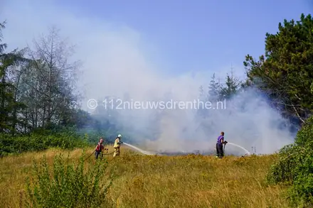 Natuurbrand bij de Kleine Rietplas in Emmen — foto 8 van 9