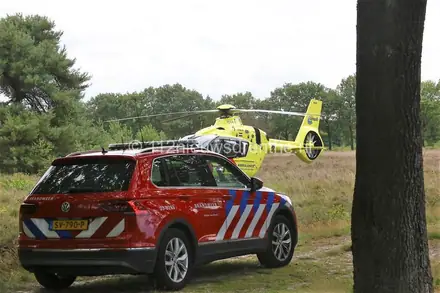 Man bekneld onder grote tak in Marwijksoord — foto 1 van 4