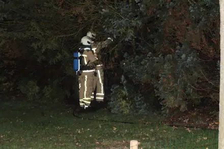 Coniferen in de brand aan de Scheidingsweg in Nieuw-Amsterdam — foto 4 van 4
