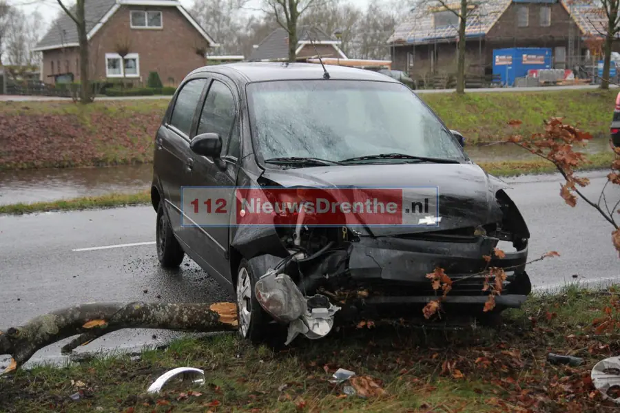 Auto botst op tak in Nieuw Amsterdam