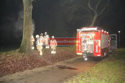 Update: Brandweer twee keer naar brand in boom aan de Slenerbrink in Emmen — foto 3 van 9