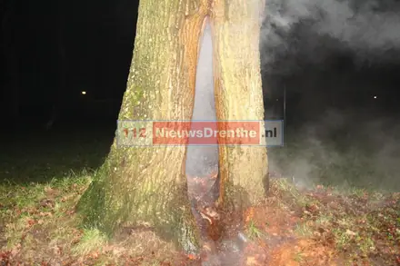 Update: Brandweer twee keer naar brand in boom aan de Slenerbrink in Emmen — foto 1 van 9