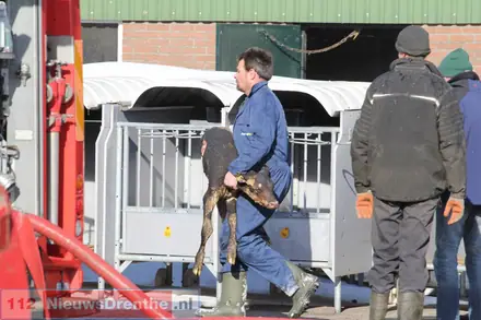 Grote brand bij boerderij Noord-Sleen — foto 5 van 12