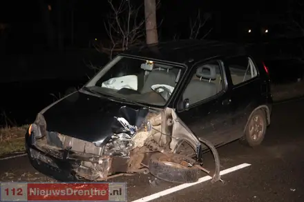 Auto botst op boom in Erica, bestuurder gewond — foto 1 van 5