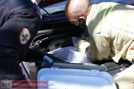 Brandweer bevrijdt opstandige kat uit motorruimte auto — foto 9 van 9