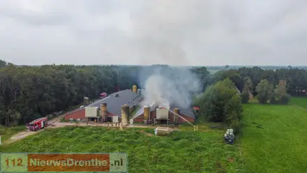 Groot deel van de driehonderd varkens heeft stalbrand Mantinge niet overleefd — foto 3 van 12