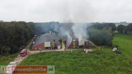 Groot deel van de driehonderd varkens heeft stalbrand Mantinge niet overleefd — foto 4 van 12