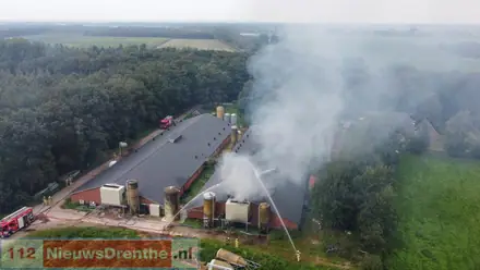 Groot deel van de driehonderd varkens heeft stalbrand Mantinge niet overleefd — foto 7 van 12