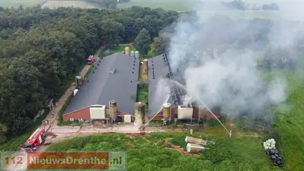 Groot deel van de driehonderd varkens heeft stalbrand Mantinge niet overleefd — foto 1 van 12