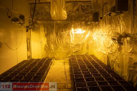 Arrestatieteam valt pand binnen in Emmen en treft hennepkwekerij aan — foto 5 van 5