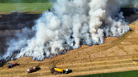 Flinke rookwolken bij akkerbrand in Erica — foto 2 van 4