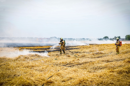Brandweer groots ingezet bij Akkerbrand in Emmen — foto 3 van 8