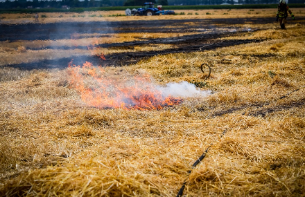 Brandweer groots ingezet bij Akkerbrand in Emmen — foto 5 van 8