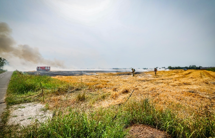 Brandweer groots ingezet bij Akkerbrand in Emmen — foto 6 van 8