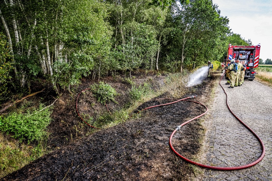 Bosbrand verspreidt zich snel door droogte In Holsloot